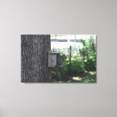 Squirrel Canvas Afdrukken (Voorkant)