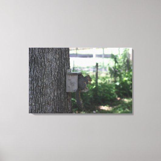 Squirrel Canvas Afdrukken (Voorkant)