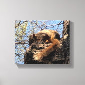 Squirrel Canvas Afdrukken (Voorkant)