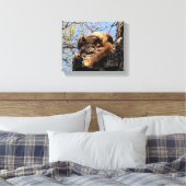 Squirrel Canvas Afdrukken (Insitu (Slaapkamer))