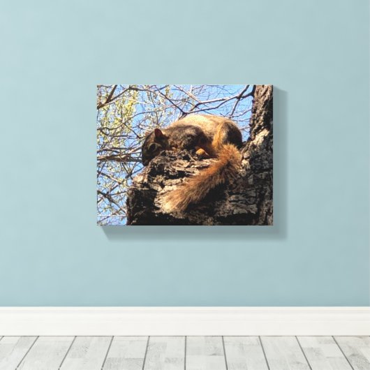 Squirrel Canvas Afdrukken (Insitu (Houten vloer))