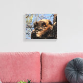 Squirrel Canvas Afdrukken (Insitu (Woonkamer))