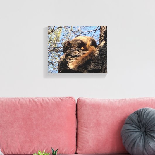 Squirrel Canvas Afdrukken (Insitu (Woonkamer))