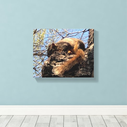 Squirrel Canvas Afdrukken (Insitu (Houten vloer))
