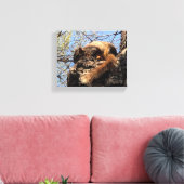 Squirrel Canvas Afdrukken (Insitu (Woonkamer))