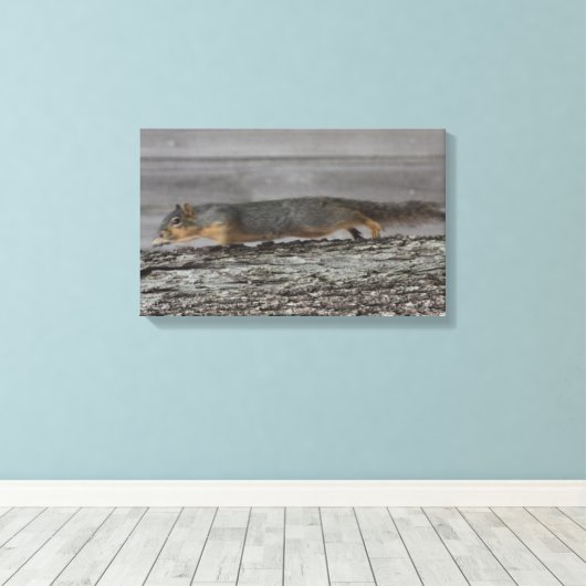Squirrel Canvas Afdrukken (Insitu (Houten vloer))
