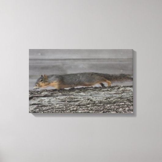 Squirrel Canvas Afdrukken (Voorkant)