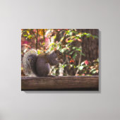 Squirrel Chow Time Canvas Afdruk (Voorkant)