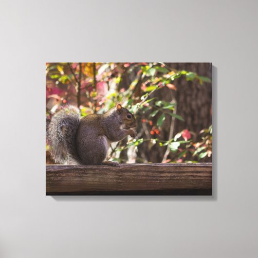 Squirrel Chow Time Canvas Afdruk (Voorkant)