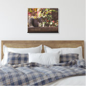 Squirrel Chow Time Canvas Afdruk (Insitu (Slaapkamer))
