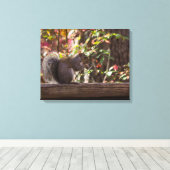 Squirrel Chow Time Canvas Afdruk (Insitu (Houten vloer))