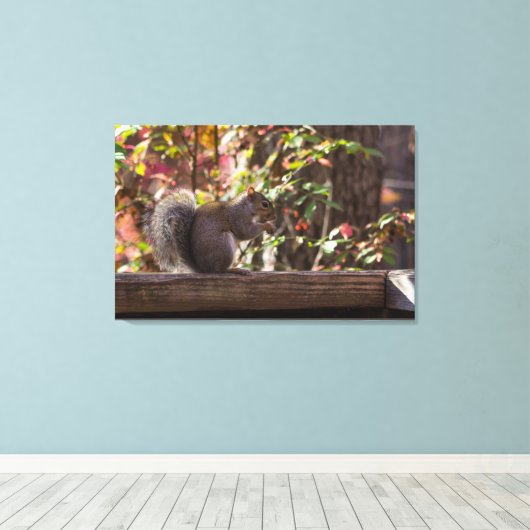 Squirrel Chow Time Canvas Afdruk (Insitu (Houten vloer))