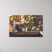 Squirrel Chow Time Canvas Afdruk (Voorkant)