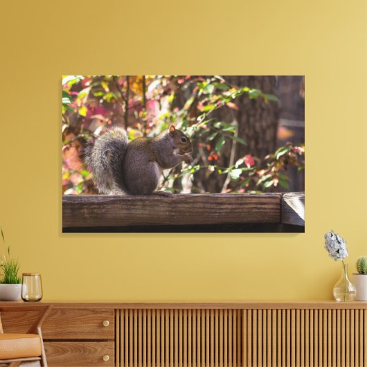 Squirrel Chow Time Canvas Afdruk (Insitu (Woonkamer))