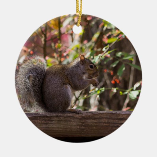 Squirrel Chow Time Keramisch Ornament (Voorkant)