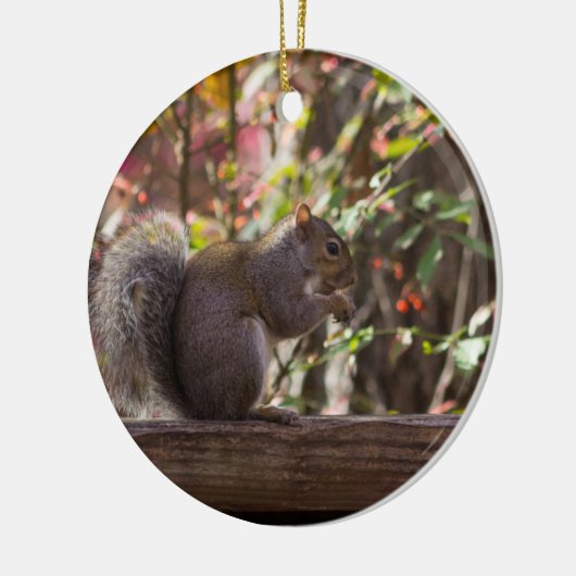 Squirrel Chow Time Keramisch Ornament (Links)