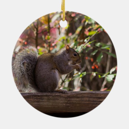Squirrel Chow Time Keramisch Ornament (Achterkant)