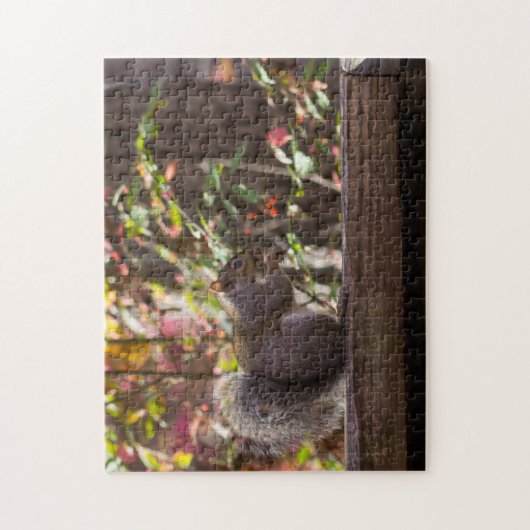 Squirrel Chow Time Legpuzzel (Verticaal)