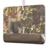 Squirrel Chow Time Luchtverfrisser (Links)