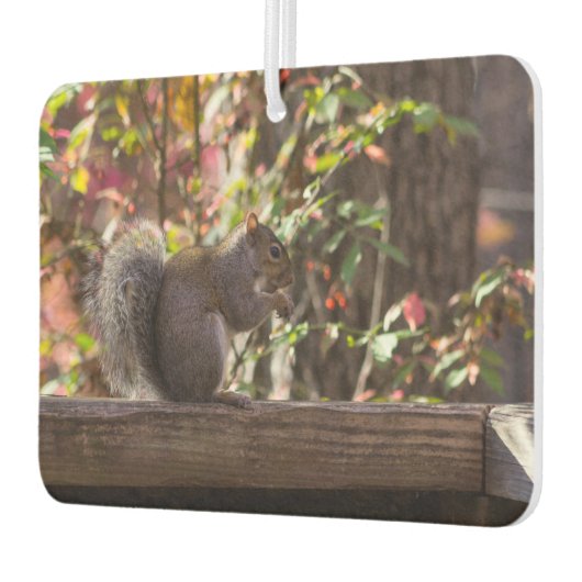 Squirrel Chow Time Luchtverfrisser (Links)