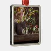 Squirrel Chow Time Metalen Ornament (Rechts)