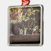 Squirrel Chow Time Metalen Ornament (Links)