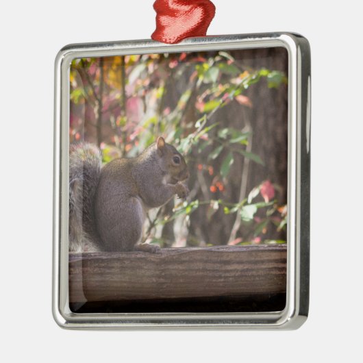 Squirrel Chow Time Metalen Ornament (Links)