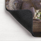 Squirrel Chow Time Muismat (Hoek)