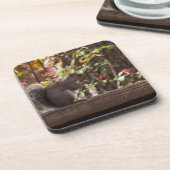 Squirrel Chow Time Onderzetter (Linkerzijde)