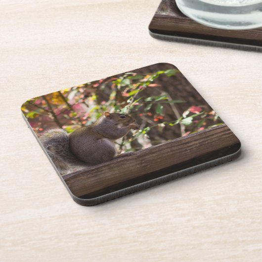 Squirrel Chow Time Onderzetter (Linkerzijde)