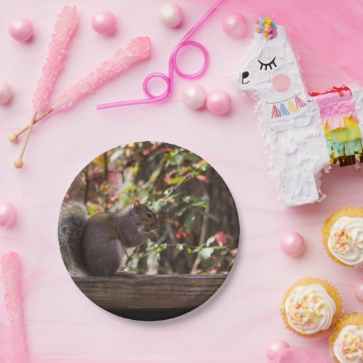 Squirrel Chow Time Papieren Bordje (Feest)