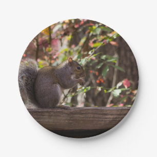 Squirrel Chow Time Papieren Bordje