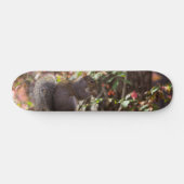 Squirrel Chow Time Persoonlijk Skateboard (Horizontaal)