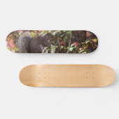 Squirrel Chow Time Persoonlijk Skateboard (Horizontaal)