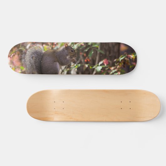 Squirrel Chow Time Persoonlijk Skateboard (Horizontaal)