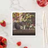 Squirrel Chow Time Servet (Insitu)