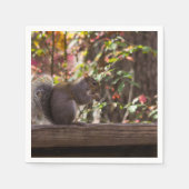 Squirrel Chow Time Servet (Voorkant)