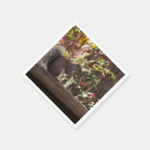 Squirrel Chow Time Servet (Hoek)