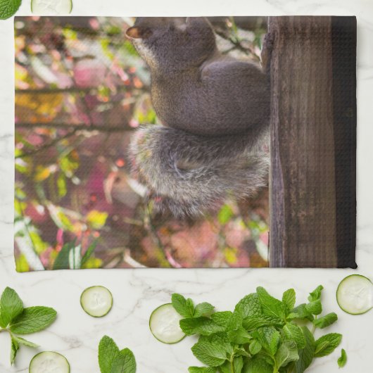 Squirrel Chow Time Theedoek (Gevouwen)