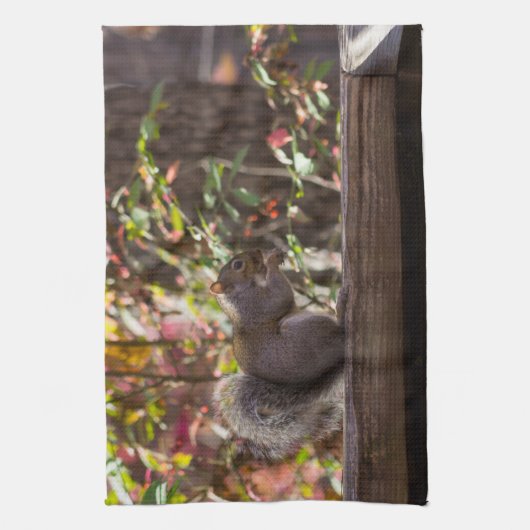 Squirrel Chow Time Theedoek (Verticaal)