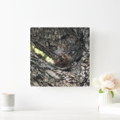 Squirrel Clock Vierkante Klok (Huis)
