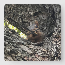 Squirrel Clock Vierkante Klok