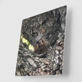 Squirrel Clock Vierkante Klok (Hoek)