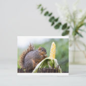 Squirrel Corn Briefkaart (Staand voorkant)