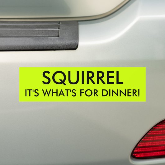 SQUIRREL, DAT IS WAT ER VOOR DINER IS! BUMPERSTICKER (Op auto)