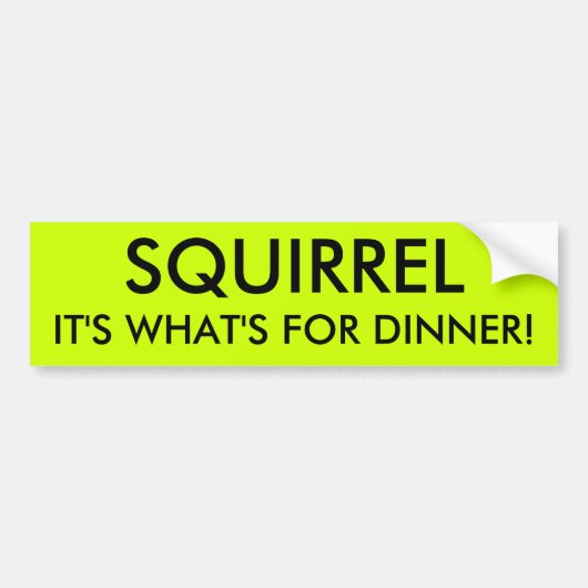 SQUIRREL, DAT IS WAT ER VOOR DINER IS! BUMPERSTICKER (Voorkant)