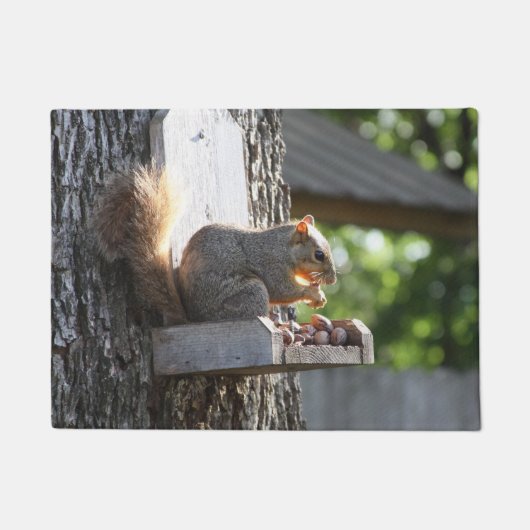 Squirrel Doormat Deurmat (Voorkant)
