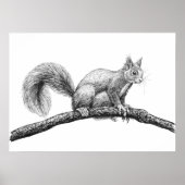 Squirrel drawing poster (Voorkant)