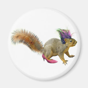 Squirrel Dress omhoog Magneet