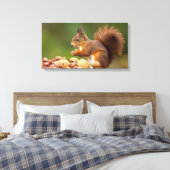 squirrel eating nut canvas afdruk (Insitu (Slaapkamer))